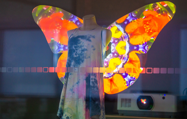 Projected image on wings
