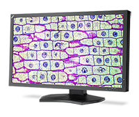AFFORDABLE OPTIONS GROW FOR MEDICAL IMAGING PROFESSIONALS WITH LATEST NEC MULTISYNC® MD SERIES DISPLAYS