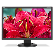 NEC Display Solutions ADDS 24-INCH MONITOR WITH AH-IPS PANEL TO MULTISYNC E SERIES