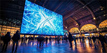 2025 Trends: Charting the Future of the Display Market