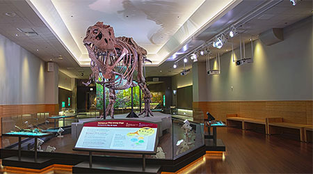 Learn how NaViSet Administrator helped bring dinosaurs to life in this success story!