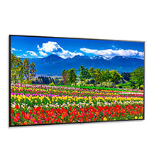 SHARP/NEC Launches New MultiSync® M751 Display for High-End Corporate Conferencing and Large Format Digital Signage