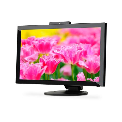 nec 23 inch monitor