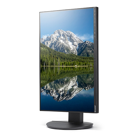 DD-EA242W