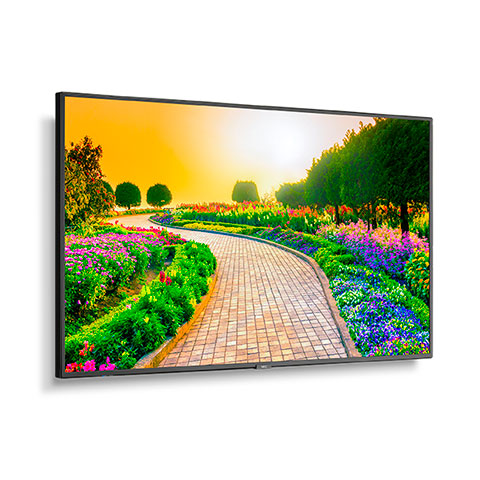 43" Ultra High Definition Professional Display