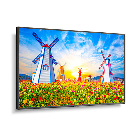 65" Ultra High Definition Professional Display