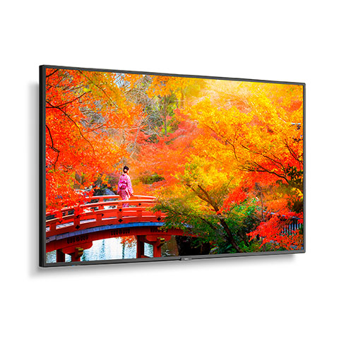 49" Wide Color Gamut Ultra High Definition Professional Display