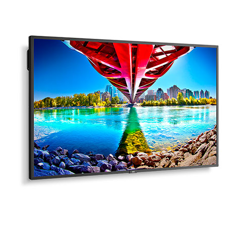 55" Ultra High Definition Commercial Display