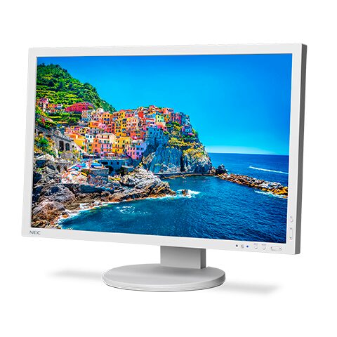 24" Professional Wide Gamut Desktop Monitor (White)